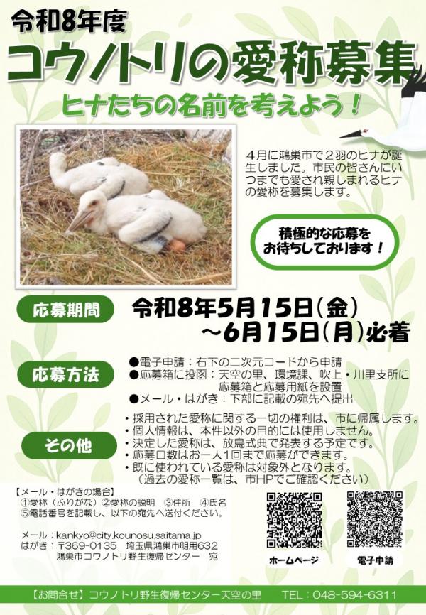 ヒナ愛称募集
