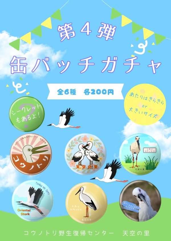 ポスター