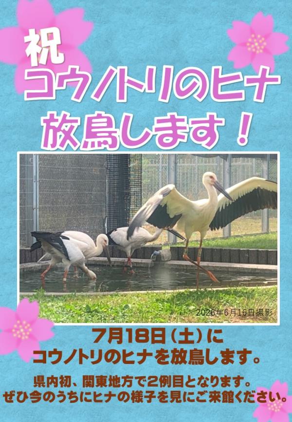 ポスター