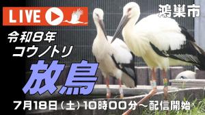サムネ