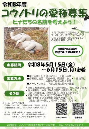 ヒナ愛称募集