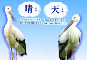 晴と天